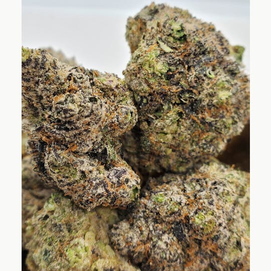 World Class Cannabis - Watermelon Gelato - 1