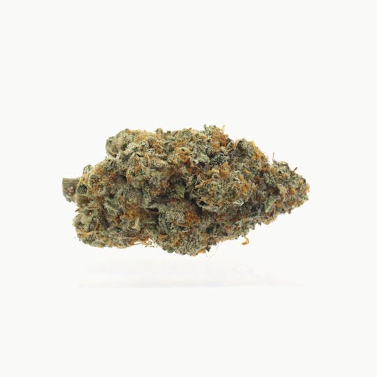 Genuine - Gelato #41 - Indoor Flower - 3.5g (Jar) - 1