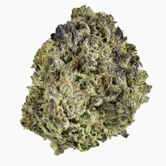 West Coast Cure - White Gushers - 3.5G Premium Flower - 1
