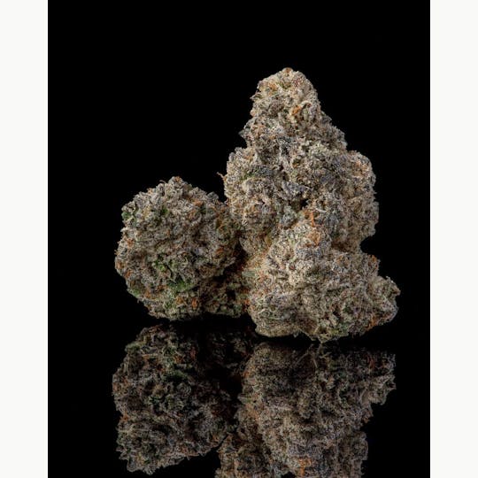Cookies - Cookies - 3.5G Flower Tub - BernieHana Butter - 1
