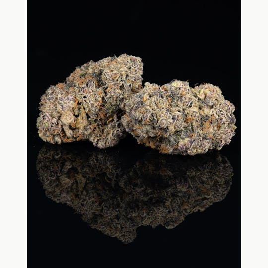 Cookies - Cookies - 3.5G Flower Tub - Cereal Milk - 1