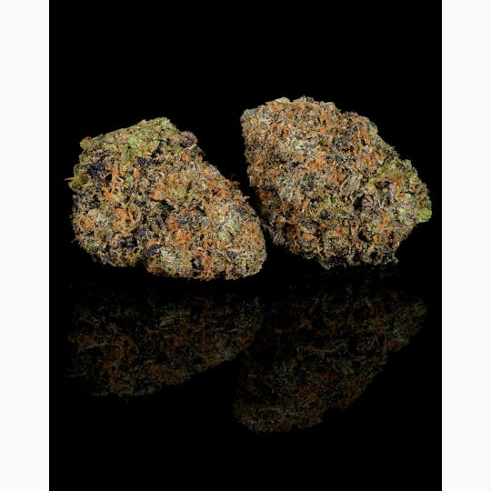 Cookies - Cookies - 3.5G Flower Tub - Congo Kashmir - 1