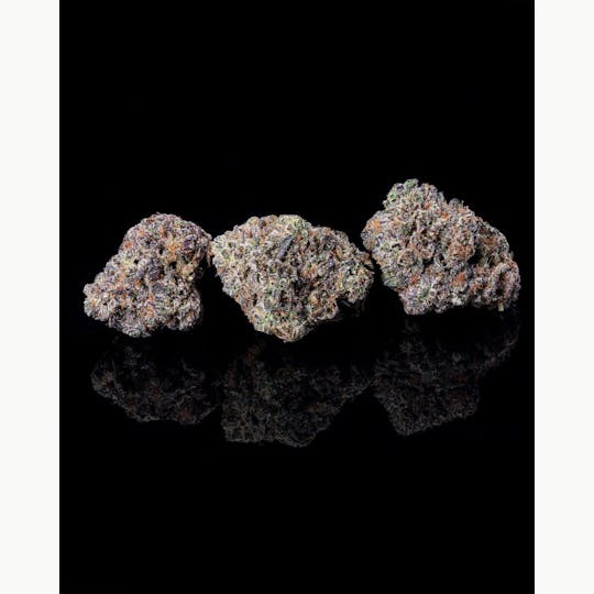 Cookies - Cookies - 3.5G Flower Tub - Ridgeline Lantz - 1