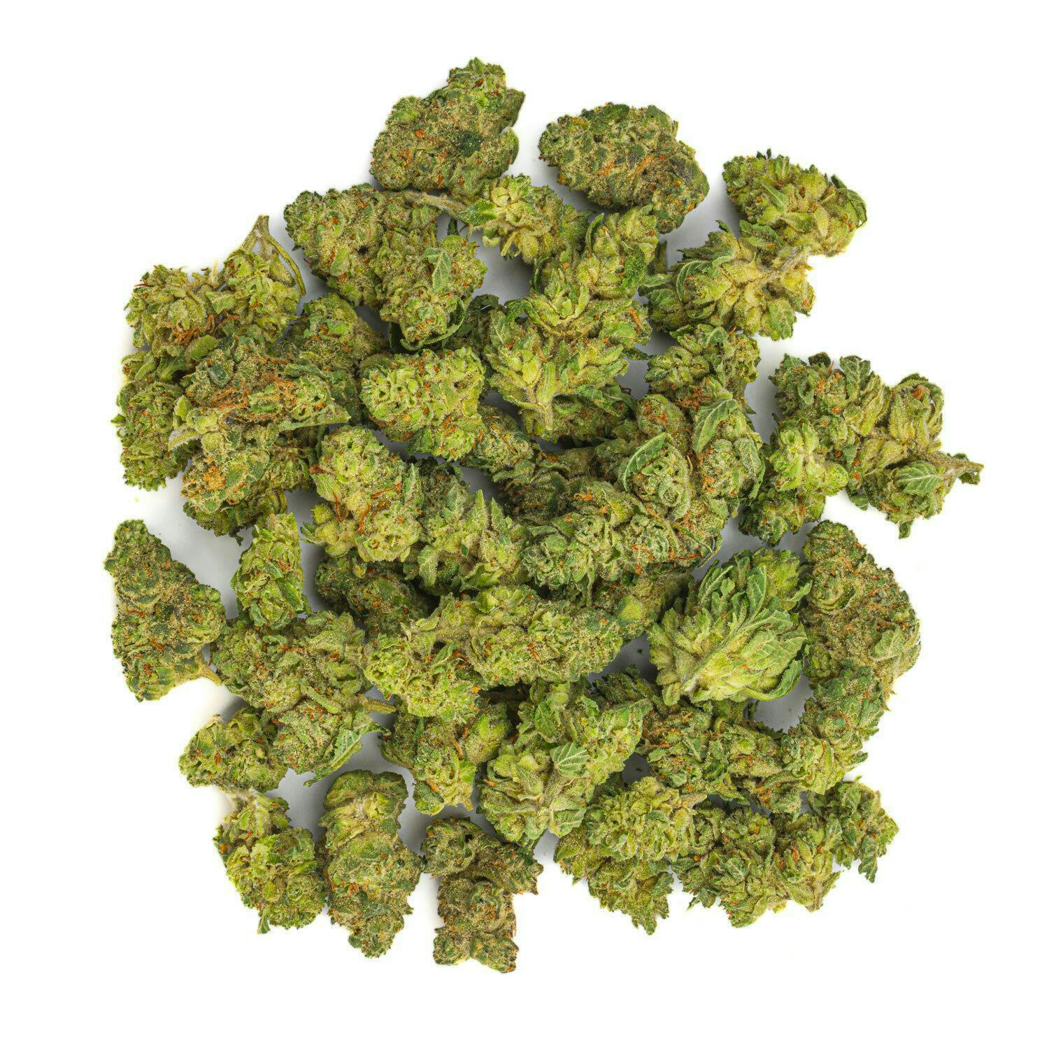 West Coast Cure - Garlic Truffle - 7G Top Shelf Smalls - 1