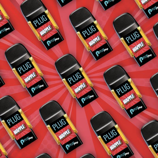 PLUGPLAY™ - VAPE - 1g PLUG™ Washington: Wapple - 1