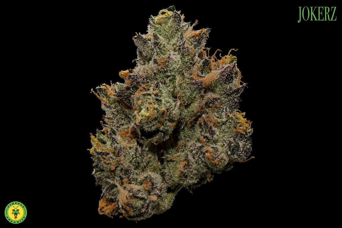 Firefly Organics - Jokerz - 1