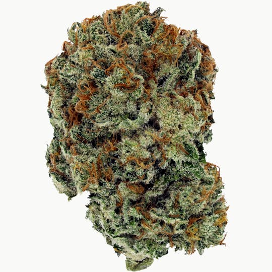 GreenSeal Cannabis Co - Bonfire Golden Grape - 10x0.35g Craft Pre-Rolls - Manitoba - 1