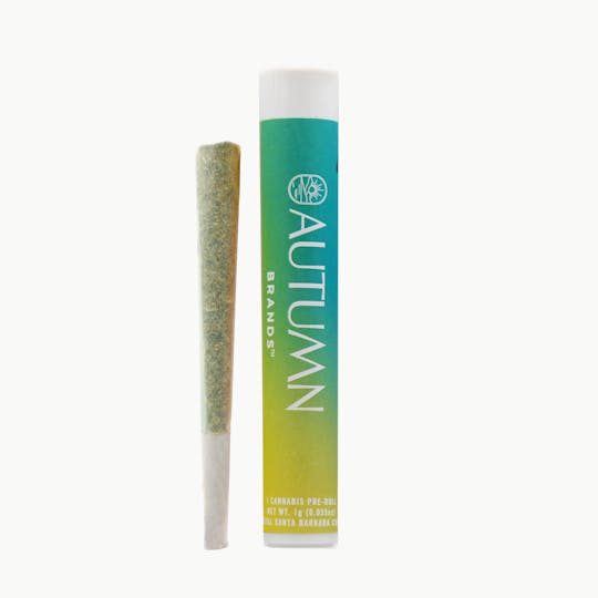 Autumn Brands - Jet Fuel Gelato 1 Gram Preroll - 1