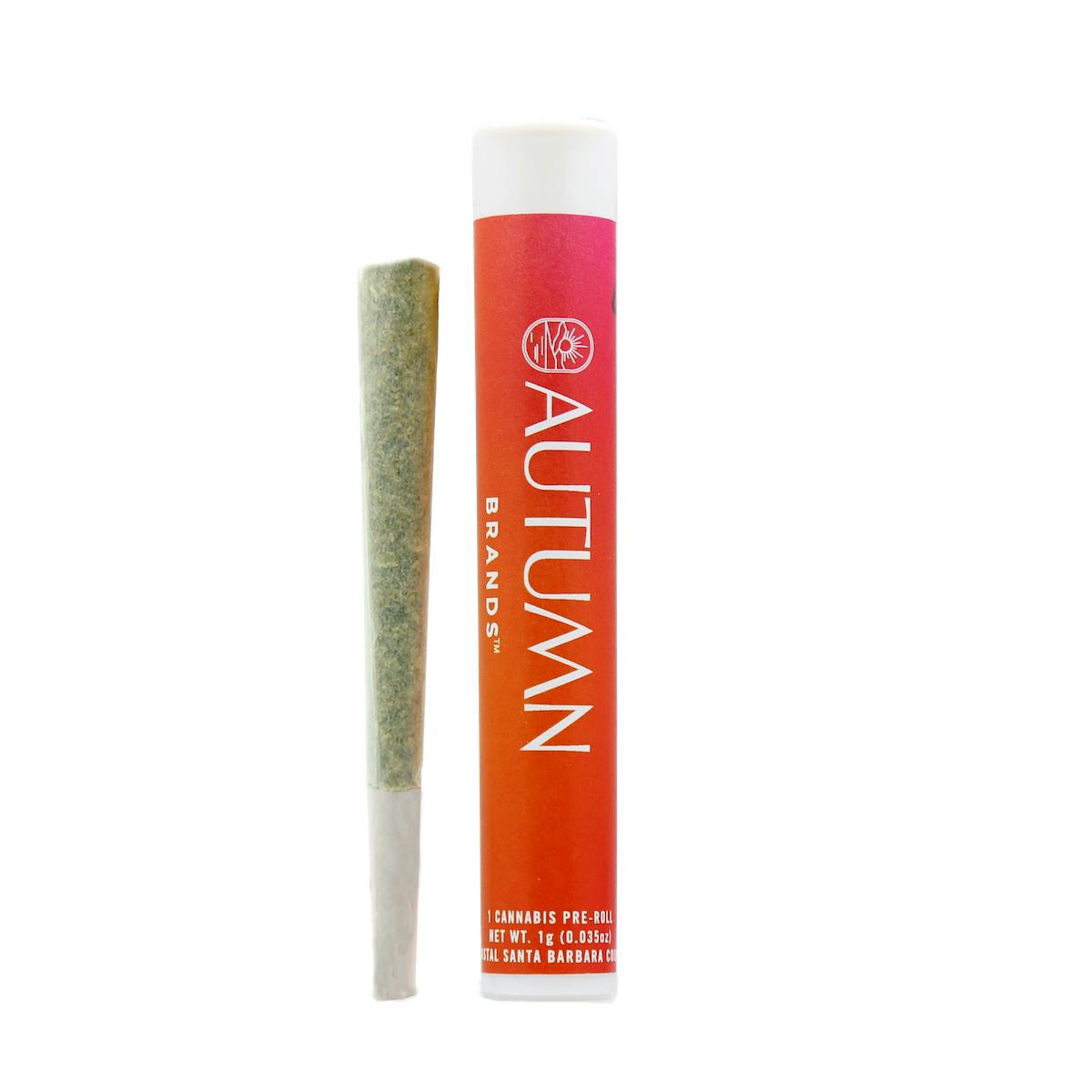 Autumn Brands - Sour Biscotti 1 gram Preroll - 1