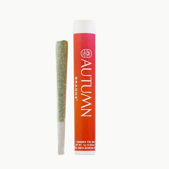 Autumn Brands - Sour Biscotti 1 gram Preroll - 1