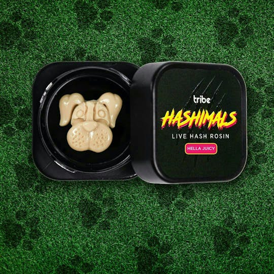 Tribe - Hashimals - Boxer - 1g - 1