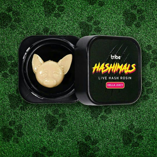 Tribe - Hashimals - Chihuahua - 1g - 1