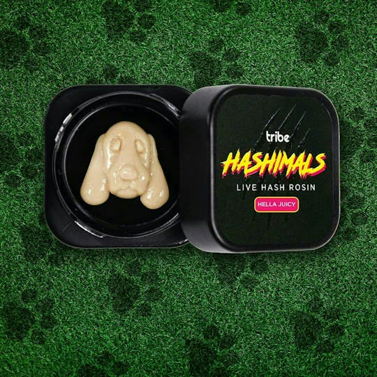 Tribe - Hashimals - Hound Dog - 1g - 1