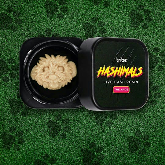 Tribe - Hashimals - Toto - 1g - 1