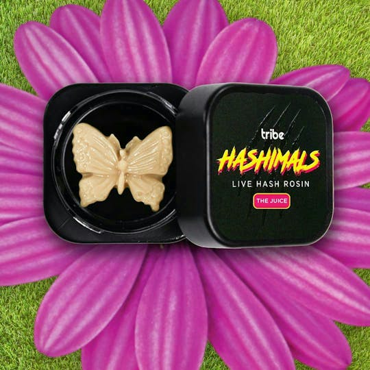 Tribe - Hashimals - Butterfly - 2g - 1
