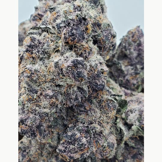 World Class Cannabis - Purple Sherbet - 1
