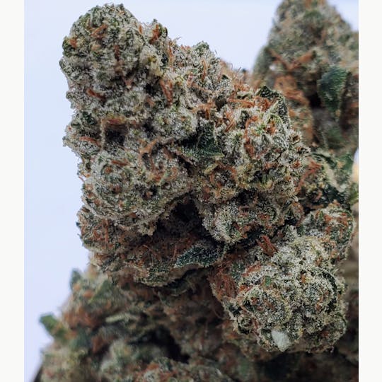 World Class Cannabis - Death Star OG - 1