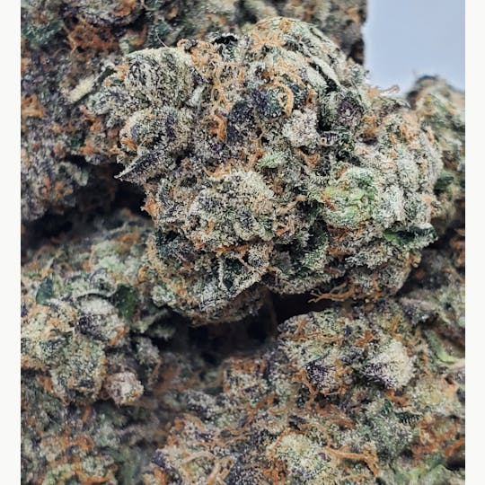 World Class Cannabis - Guava Gelato - 1