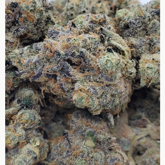 World Class Cannabis - Jungle Cake - 1