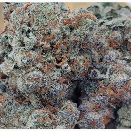 World Class Cannabis - Green Candy - 1