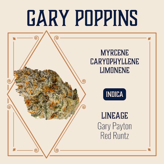 Elevate Missouri - Gary Poppins - 14g - 1
