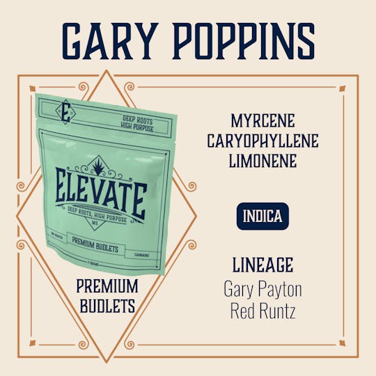 Elevate Missouri - Gary Poppins - 7g Budlets - 1