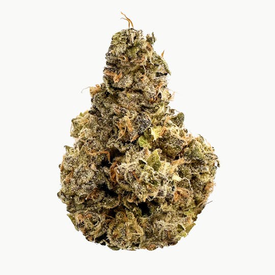 Vivid - Vivid - Florida Kush - Indica - 1