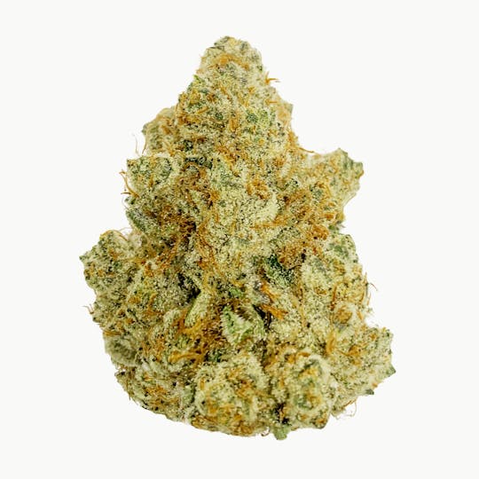 Vivid - Vivid - Gas Cake - Indica Hybrid - 1
