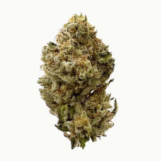 Vivid - Vivid - Gummiez - Hybrid - 1
