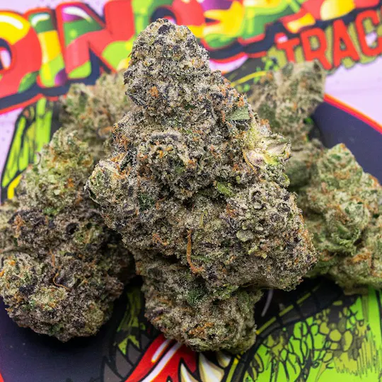 TEDS BUDZ - Teds Budz | Dinosaur Tracks | Big Buds | 3.5g - 1