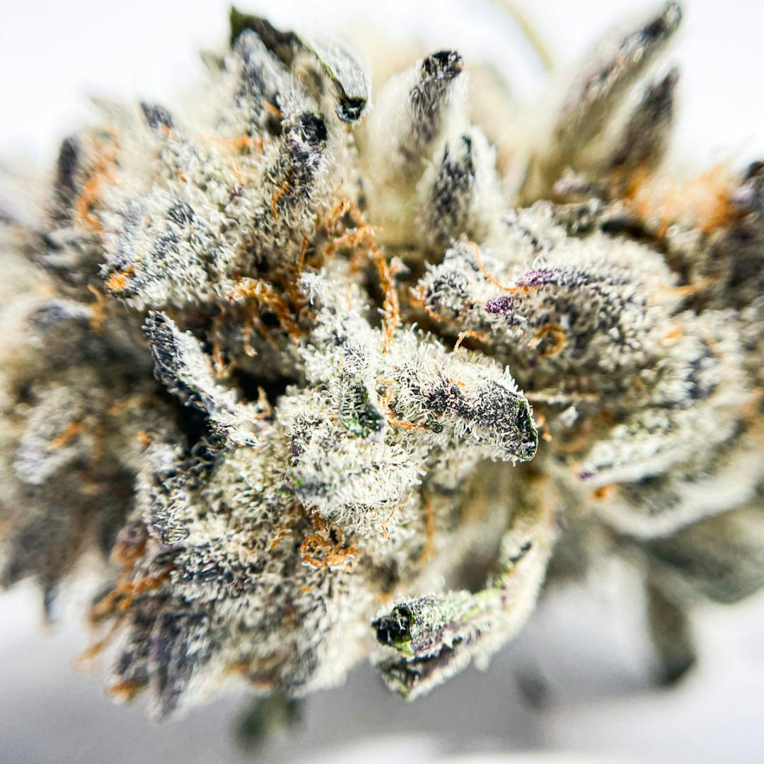 BeWell Organic Medicine - Bread & Butter 3.5g Flower - 1