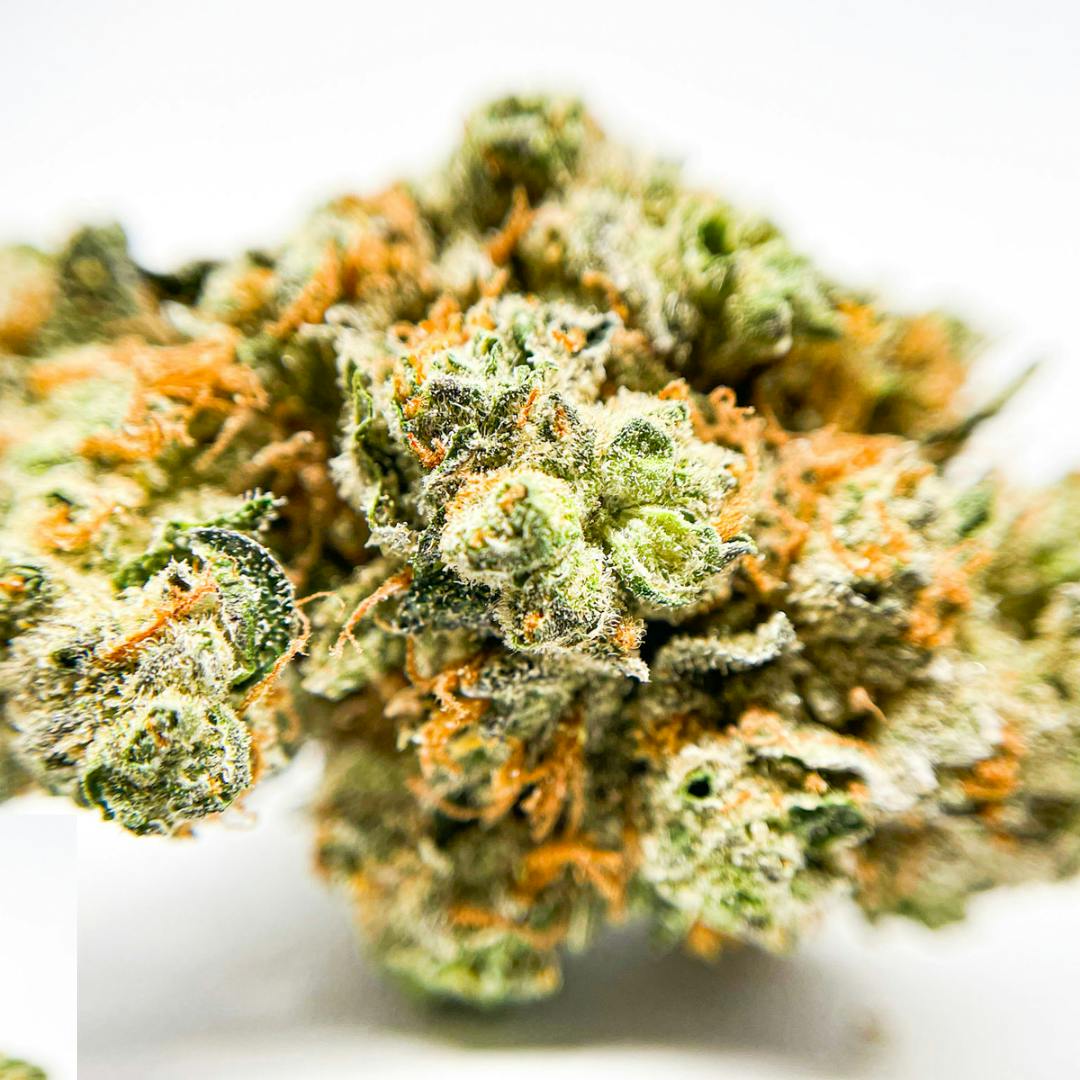 BeWell Organic Medicine - Bad N' Boujee 3.5g Flower - 1