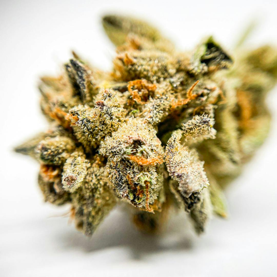 BeWell Organic Medicine - Dreamsicle 3.5g Flower - 1