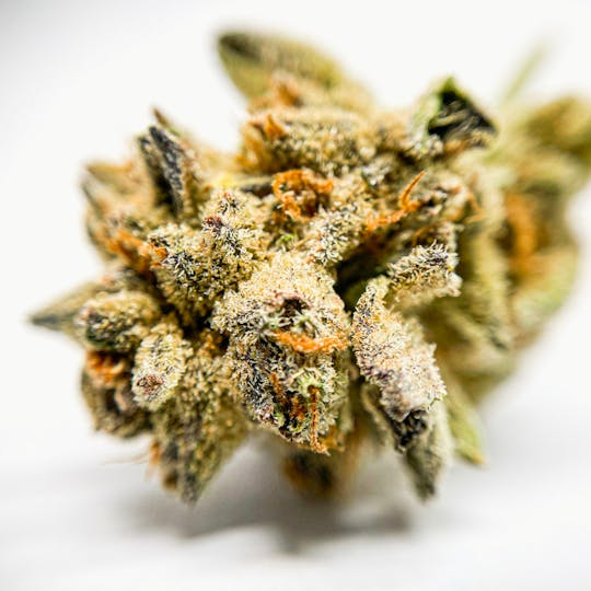 BeWell Organic Medicine - Dreamsicle 3.5g Flower - 1