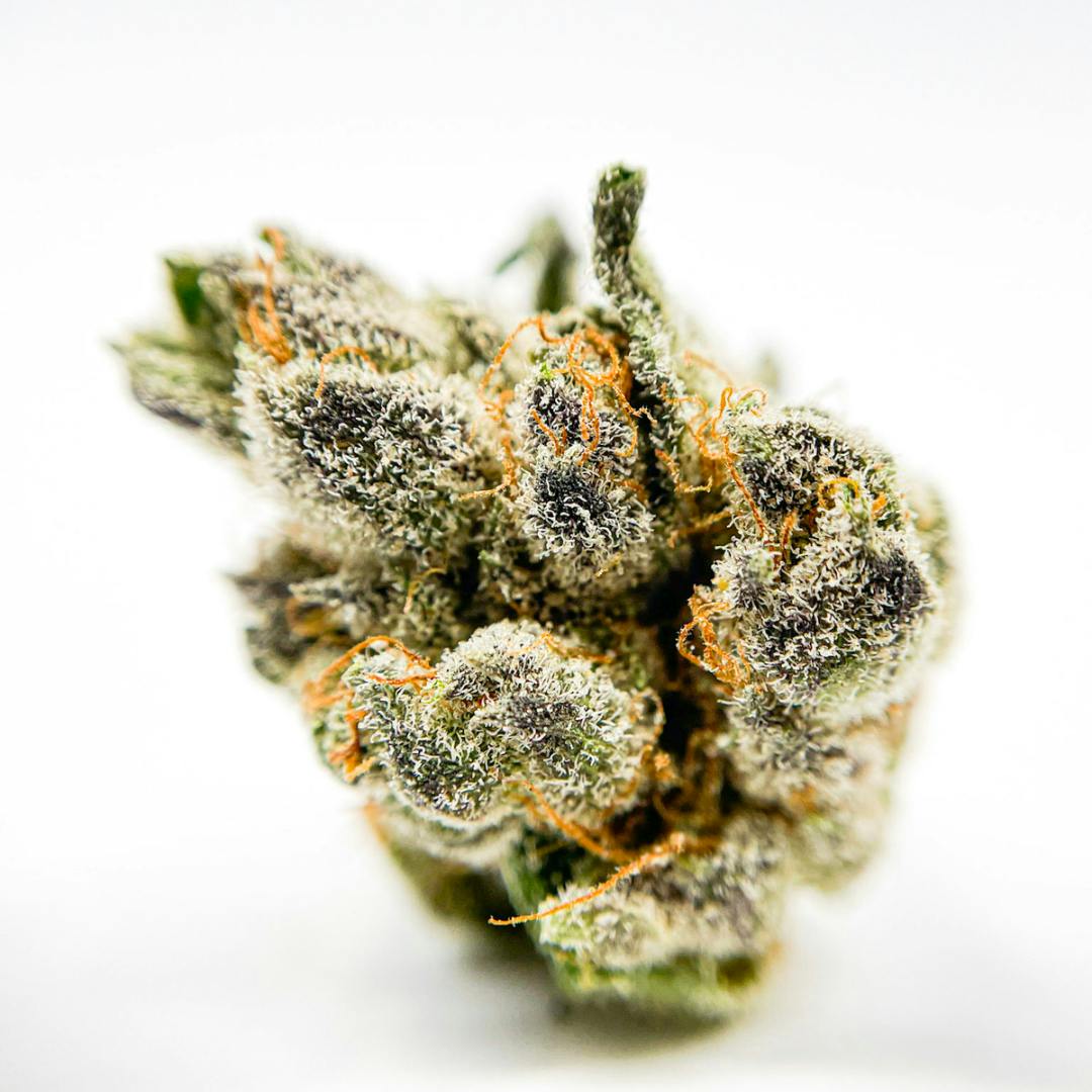 BeWell Organic Medicine - Purple Diesel 3.5G Flower - 1