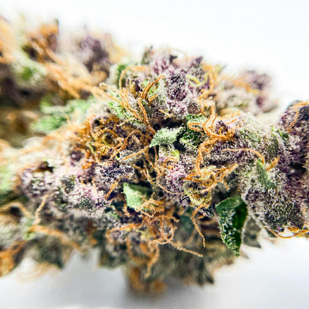 BeWell Organic Medicine - Purple Marmalade 3.5G Flower - 1