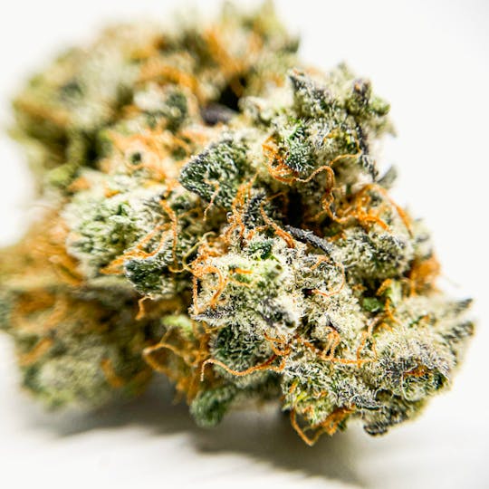 BeWell Organic Medicine - Singapore Sling 3.5G Flower - 1