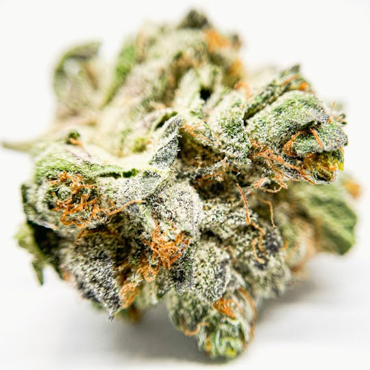 BeWell Organic Medicine - Red Berries 3.5G Flower - 1