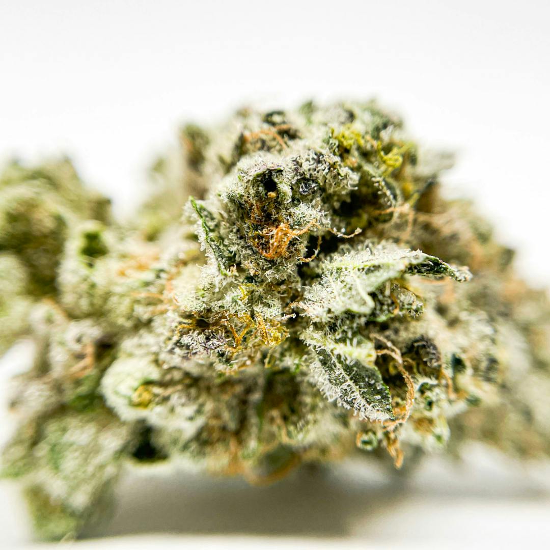 BeWell Organic Medicine - Truffle Monkey 3.5G Flower - 1