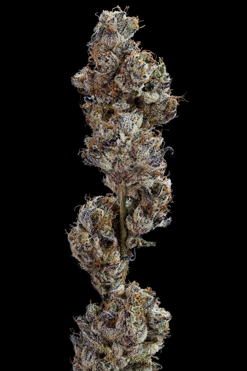 MI Loud Flower Farms - Garlic Cocktail 3.5g. Pre Pack - 1