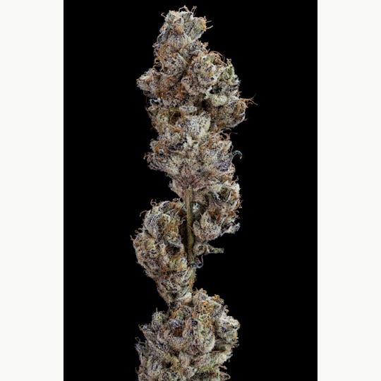 MI Loud Flower Farms - Garlic Cocktail 3.5g. Pre Pack - 1