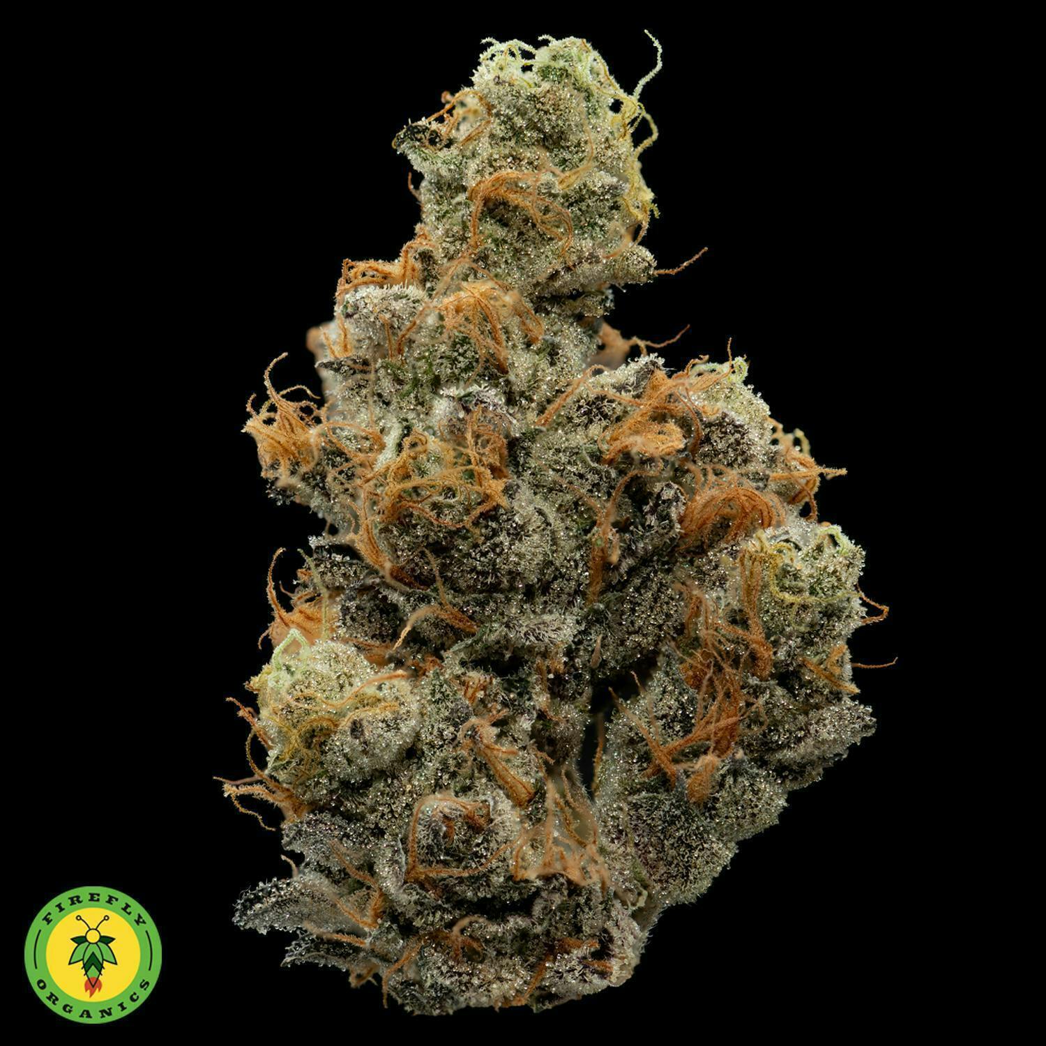 Firefly Organics - Firefly Organics | '09 Animal Cookies | Big Buds | 3.5g - 1