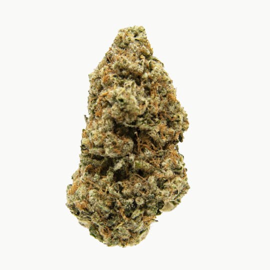 Crops Cannabis - Road Trip - 1