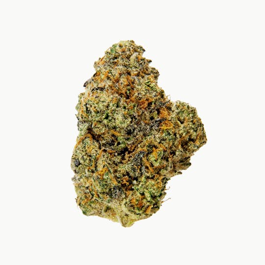Crops Cannabis - High Society - 1