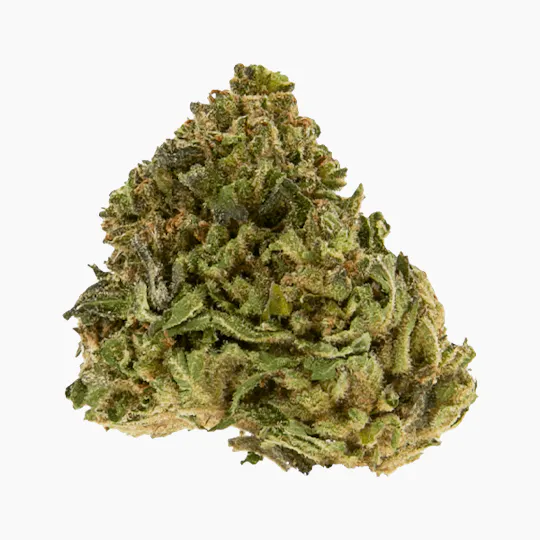 Smoakland - Smoakland Xclusivez | Platinum Sour Diesel (S) | Big Buds | 28g - 1
