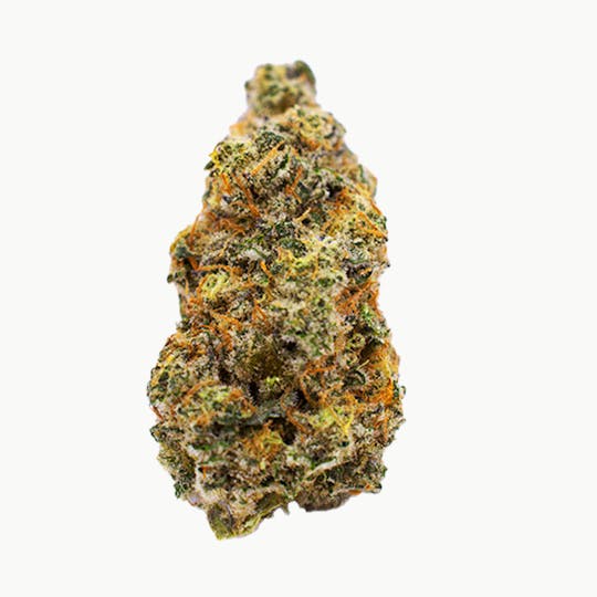 Crops Cannabis - Highway Maxx - 1