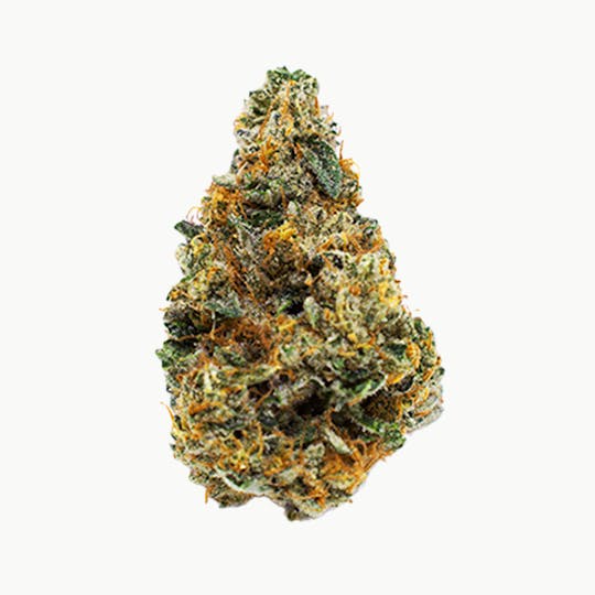 Crops Cannabis - Dobos Triangle - 1
