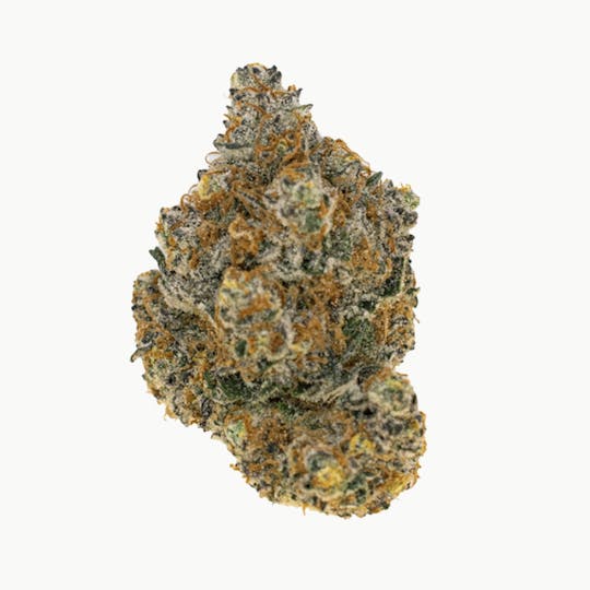 Crops Cannabis - Coup D’etat - 1