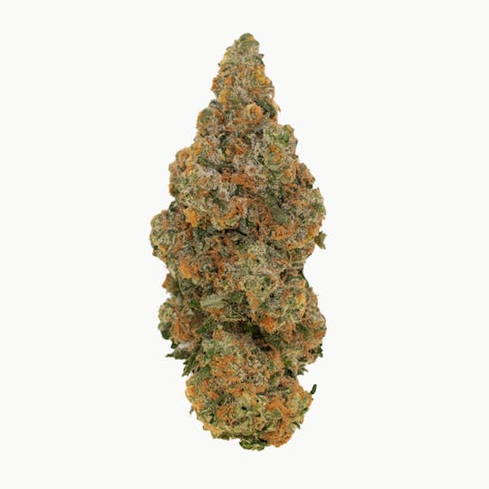 Crops Cannabis - Shredder (Face Melt) - 1