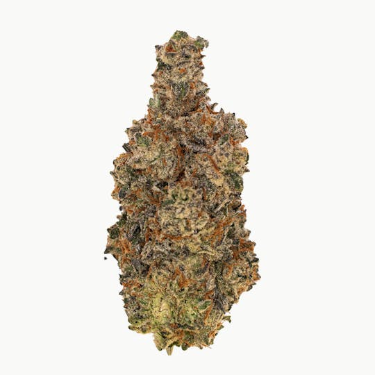 Crops Cannabis - Citrus Sunrise (Lemon Sportiff) - 1
